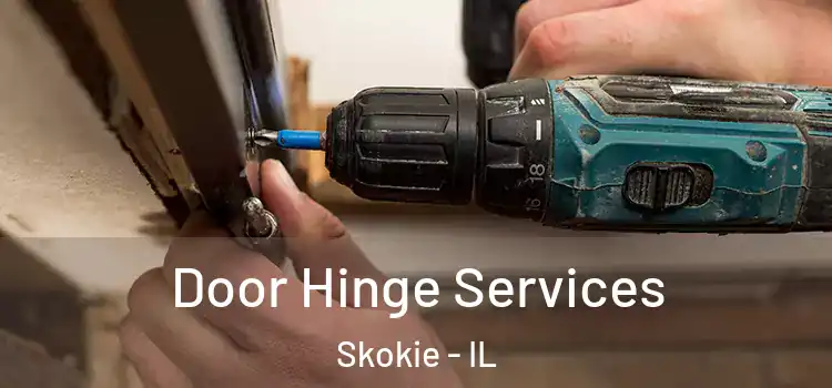 Door Hinge Services Skokie - IL