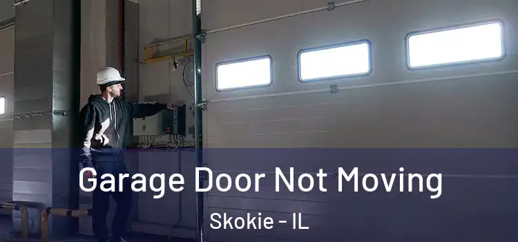  Garage Door Not Moving Skokie - IL