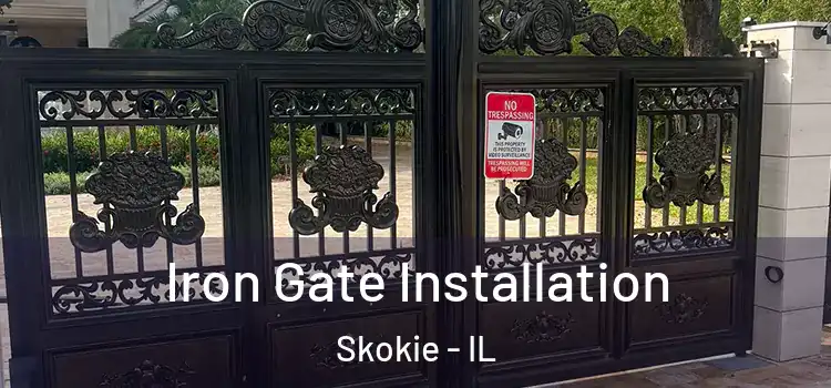Iron Gate Installation Skokie - IL