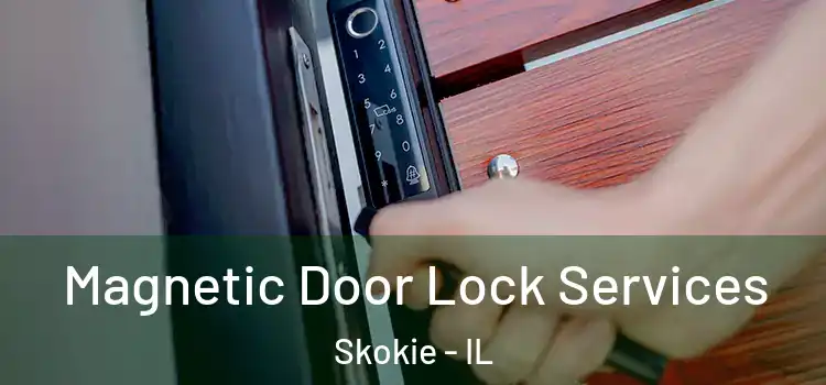  Magnetic Door Lock Services Skokie - IL