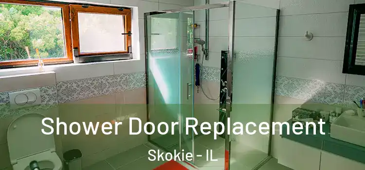 Shower Door Replacement Skokie - IL